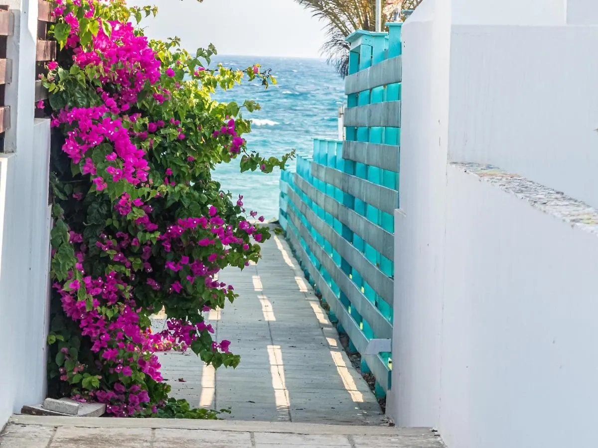 Greek Island Style 2 Bedroom Villa With Pool Next To The Sea Larnaca Cyprus